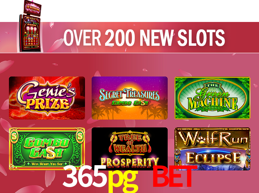 Casino Ao Vivo 365pg bet