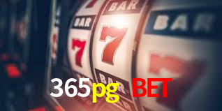 Programa VIP 365pg bet
